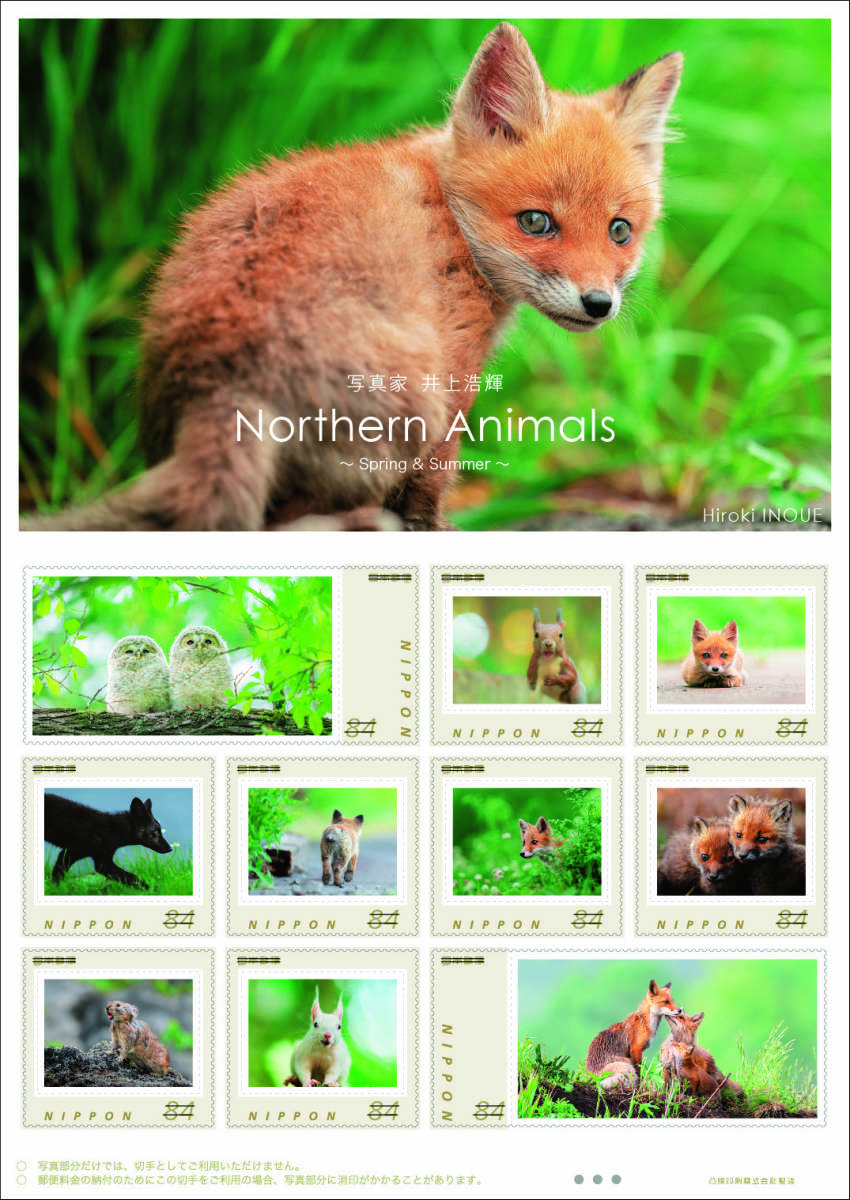 未開封新品/北海道限定/北の動物たちフレーム切手[写真家 井上浩輝 Northern Animals~Spring＆Summer~]キタキツネ/エゾフクロ84円記念切手 _画像3