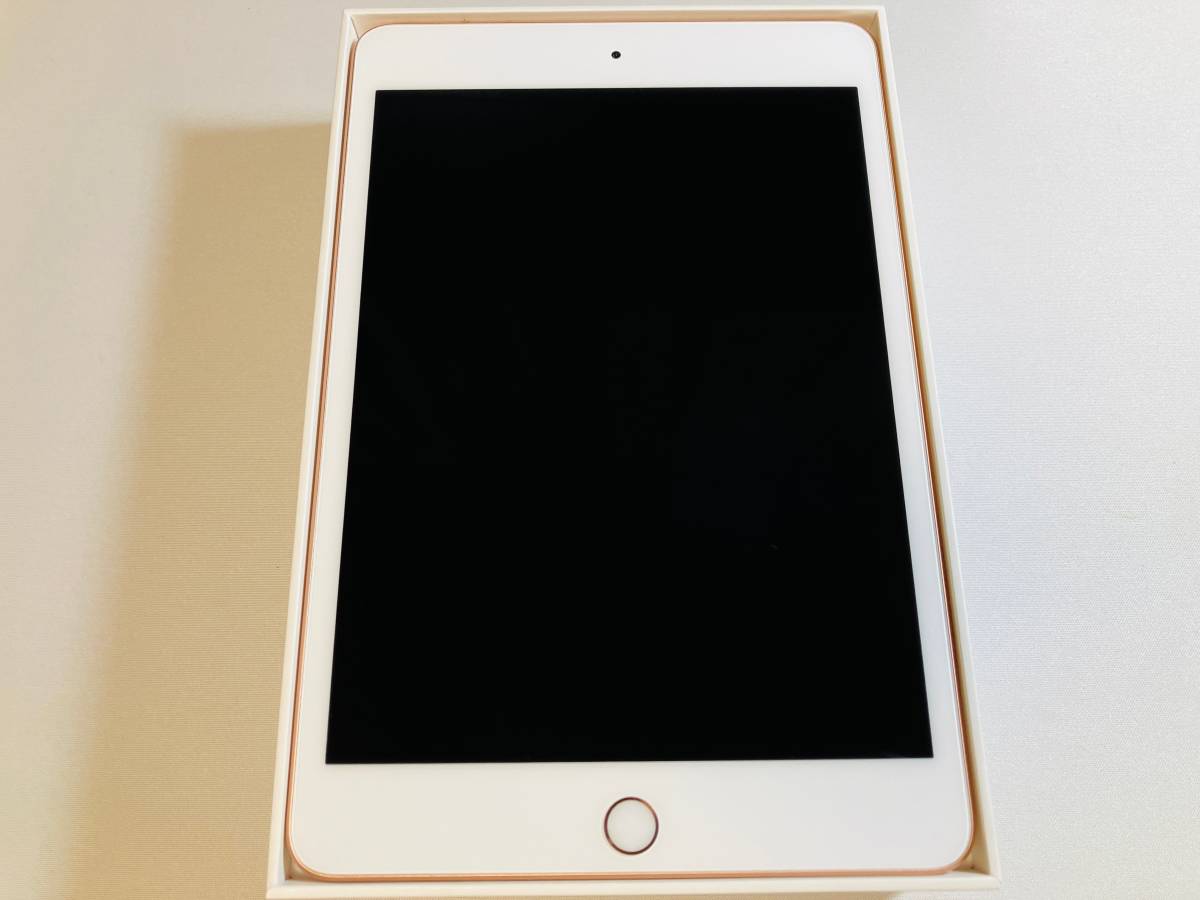 驚きの安さ Apple iPad mini 5 Wi-Fi 64GB 3F559J/A ゴールド iPad本体