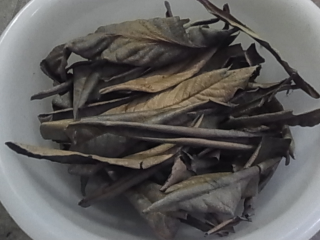ビワの枯れ葉　30枚　ザリガニ・シュリンプ等のエサに　無農薬　 DG_画像2