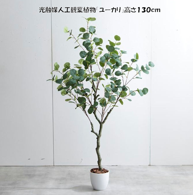 送料無料 光触媒人工観葉植物ユーカリ高さ130cm インテリアグリーン 造花 人工植物 フェイクグリーン（1272）_画像1