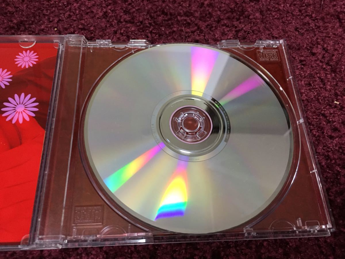 情熱BALLAD コタニ キンヤ CD cd シングル Single_画像4