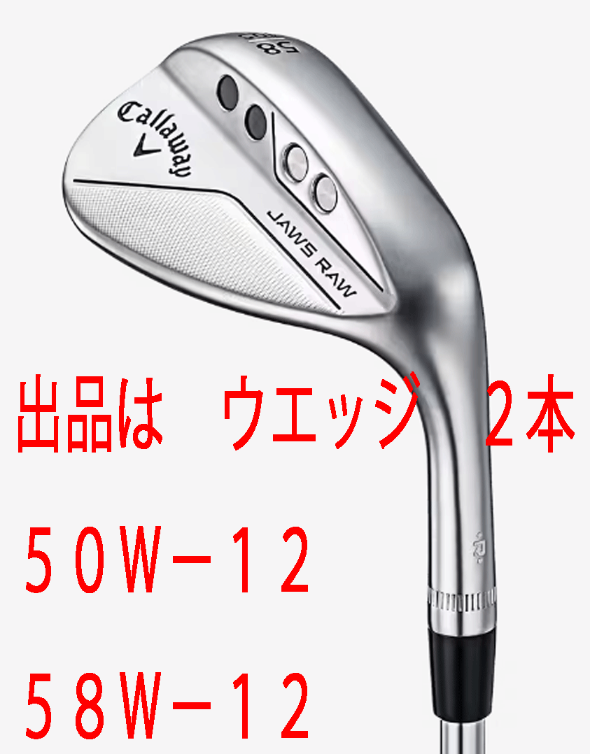 出産祝い PRO WEDGE□クロム□２本□50W-12/58W-12□NS RAW 新品