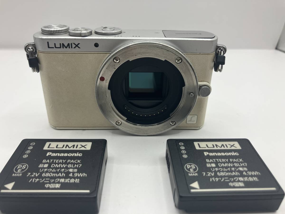 2022年最新海外 ★特上級★ パナソニック PANASONIC LUMIX DMC-GM1 ボディ ☆バッテリー2個付き!!☆ パナソニック 2022年最新海外 ★特上級★ パナソニック PANASONIC LUMIX DMC-GM1 ボディ ☆バッテリー2個付き!!☆ パナソニック