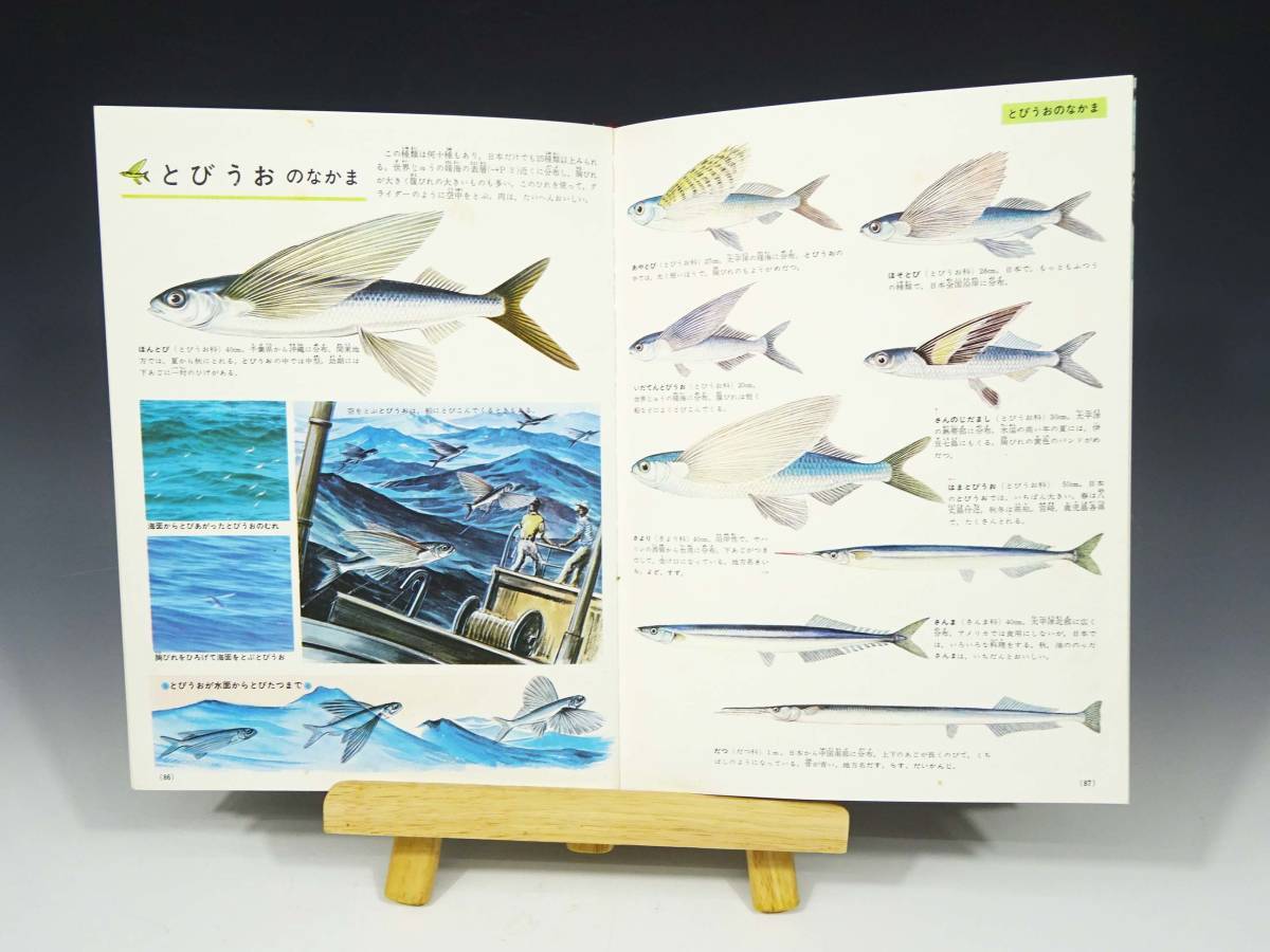 ◇(TD) 昭和レトロ 小学館の学習百科図鑑 植物の図鑑 魚貝の図鑑 ◇(TD) 昭和レトロ 小学館の学習百科図鑑 植物の図鑑 魚貝の図鑑
