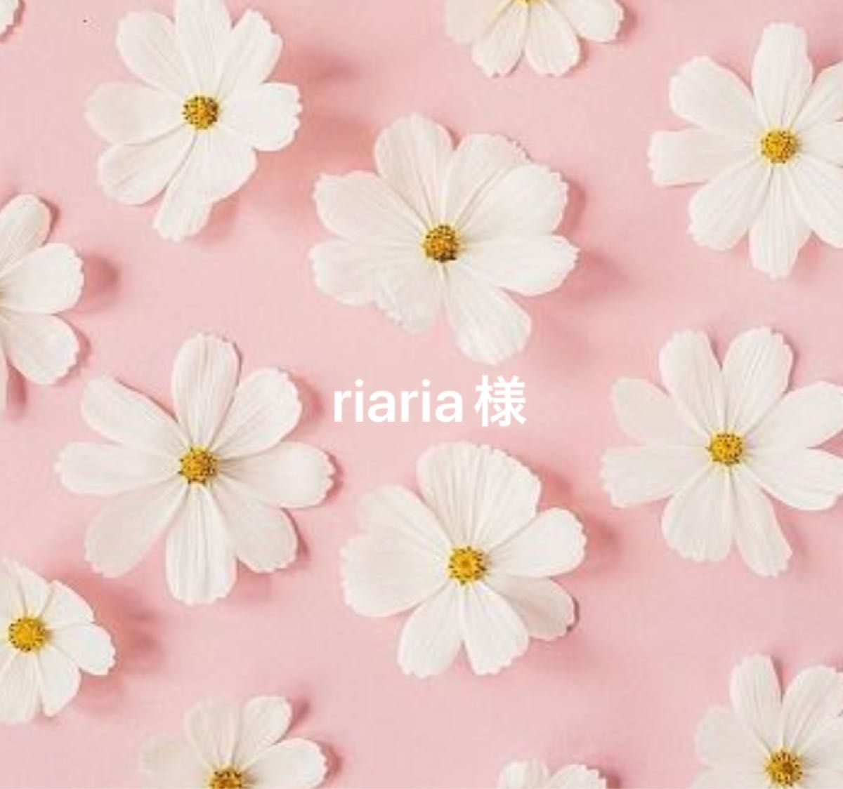 riaria様 専用ページ