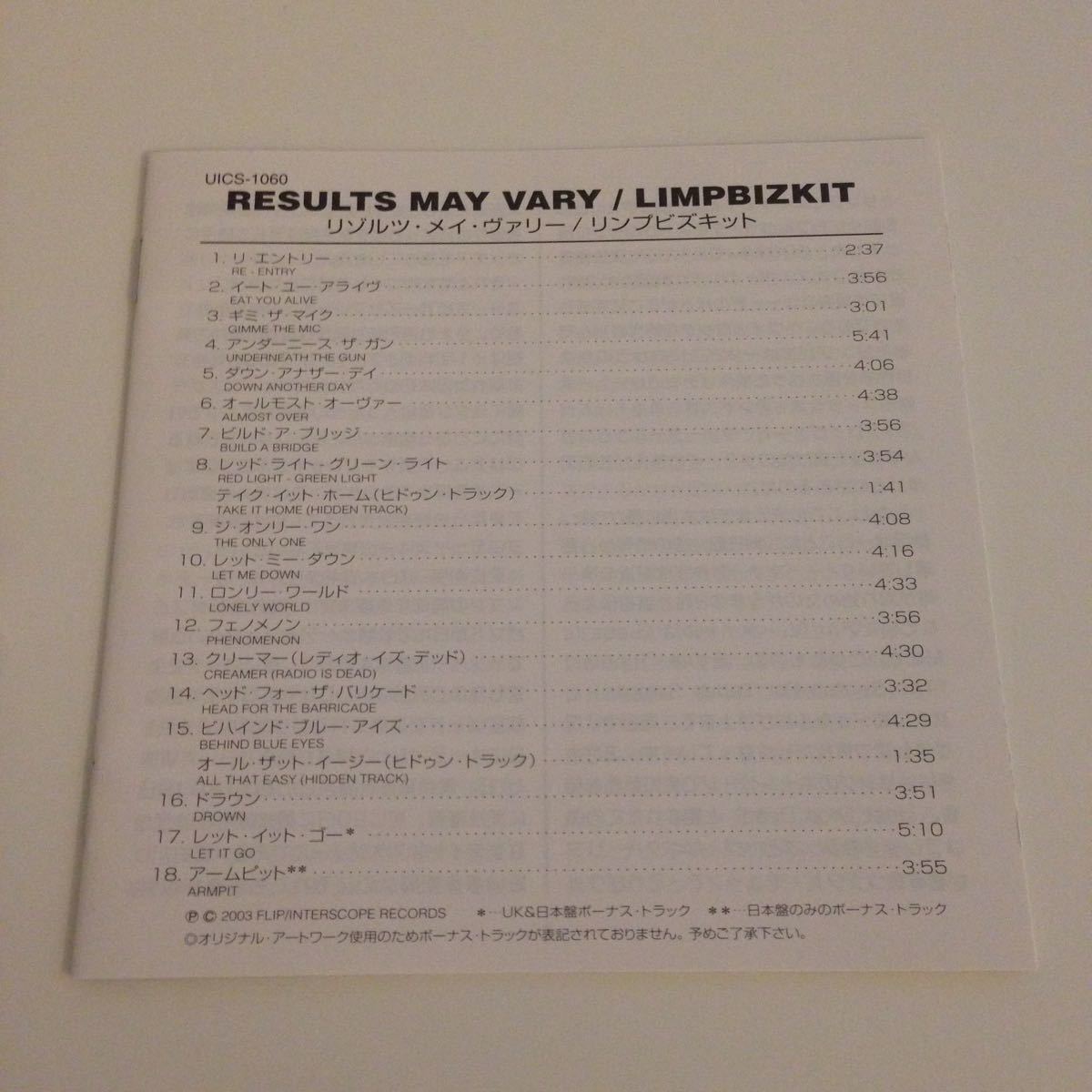 Limp Bizkit / Results May Vary 国内盤 歌詞対訳付 ラップ メタル_画像5