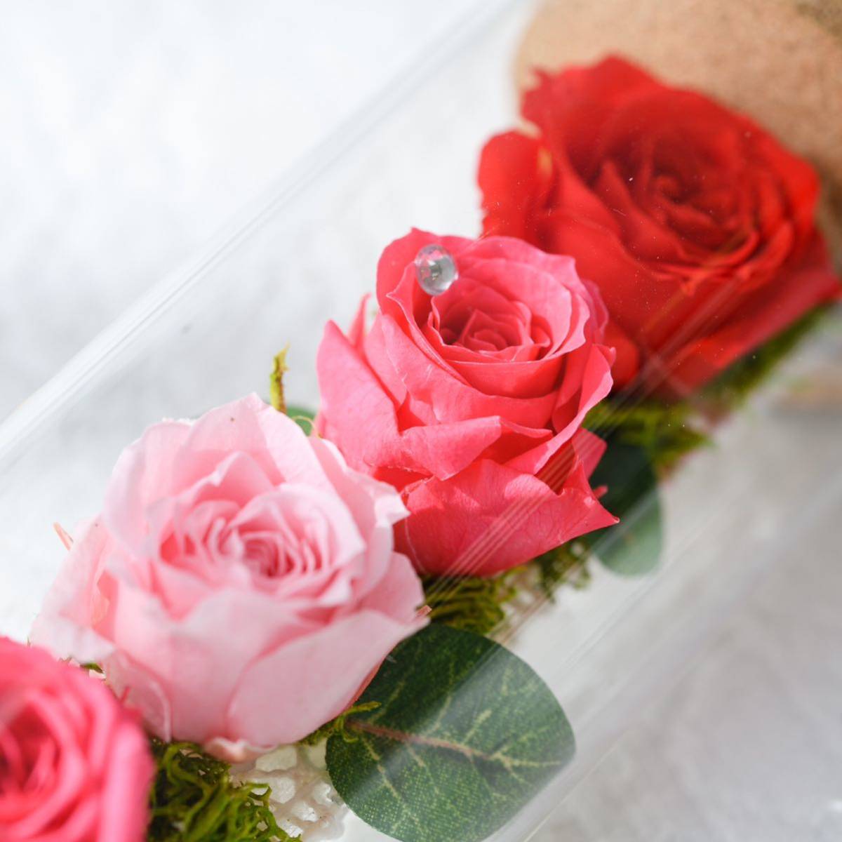 ... reserve ... цветок   ... роза   красный  цвет  15cm ... поздравление   подарок  ... подарок 