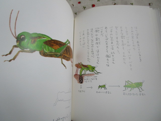 C8　『 昆虫とあそぼう』　とだこうしろう／作・絵　戸田デザイン研究室発行　表紙カバーなし
