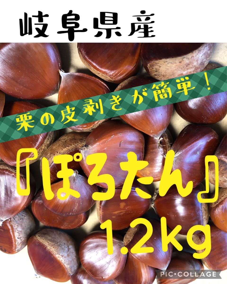 生栗『ぽろたん』1 2kg 無農薬｜PayPayフリマ