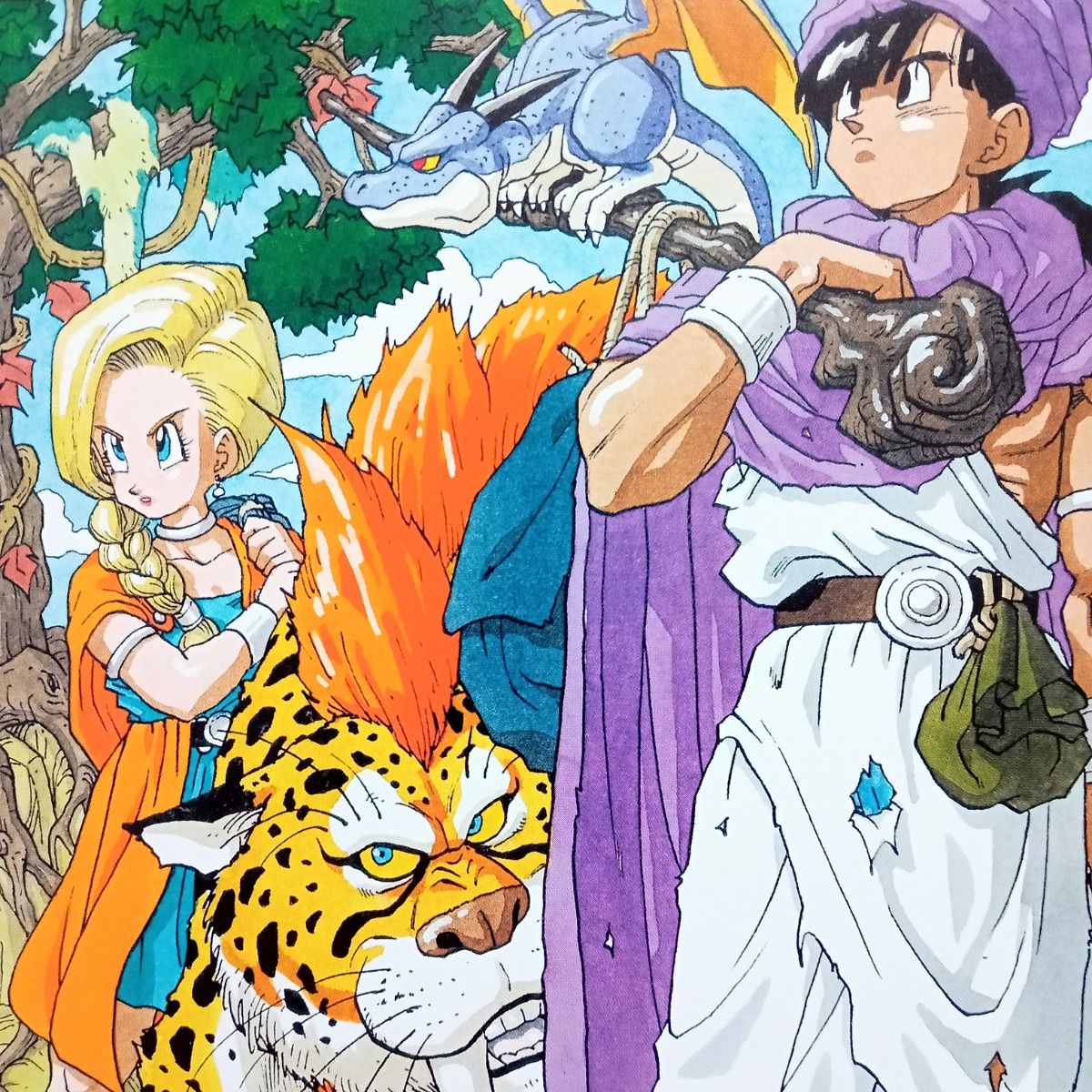 ドラゴンクエストⅤ 天空の花嫁 パッケージイラスト ポスター 額 ドラゴンクエストⅤ 天空の花嫁 パッケージイラスト ポスター 額