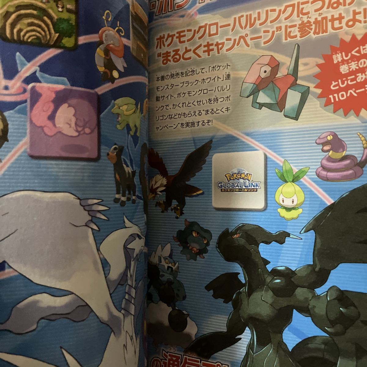 Bibian 比比昂 - ☆本ゲーム「帯有りNDSポケットモンスター Bibian 比比昂 - ☆本ゲーム「帯有りNDSポケットモンスター