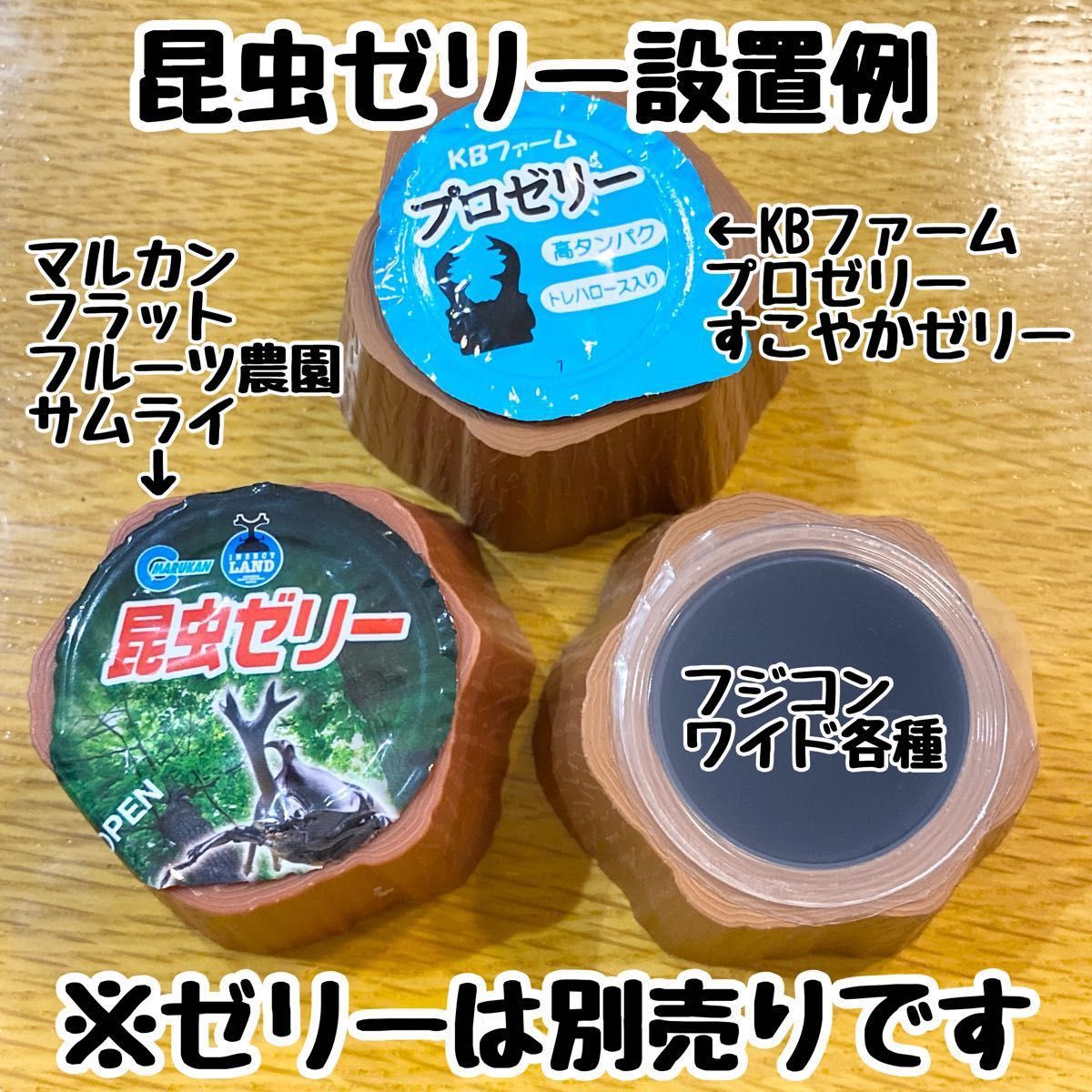 ゼリーホルダーエイト8g 丸底タイプ エサ皿6個 - 虫類用品