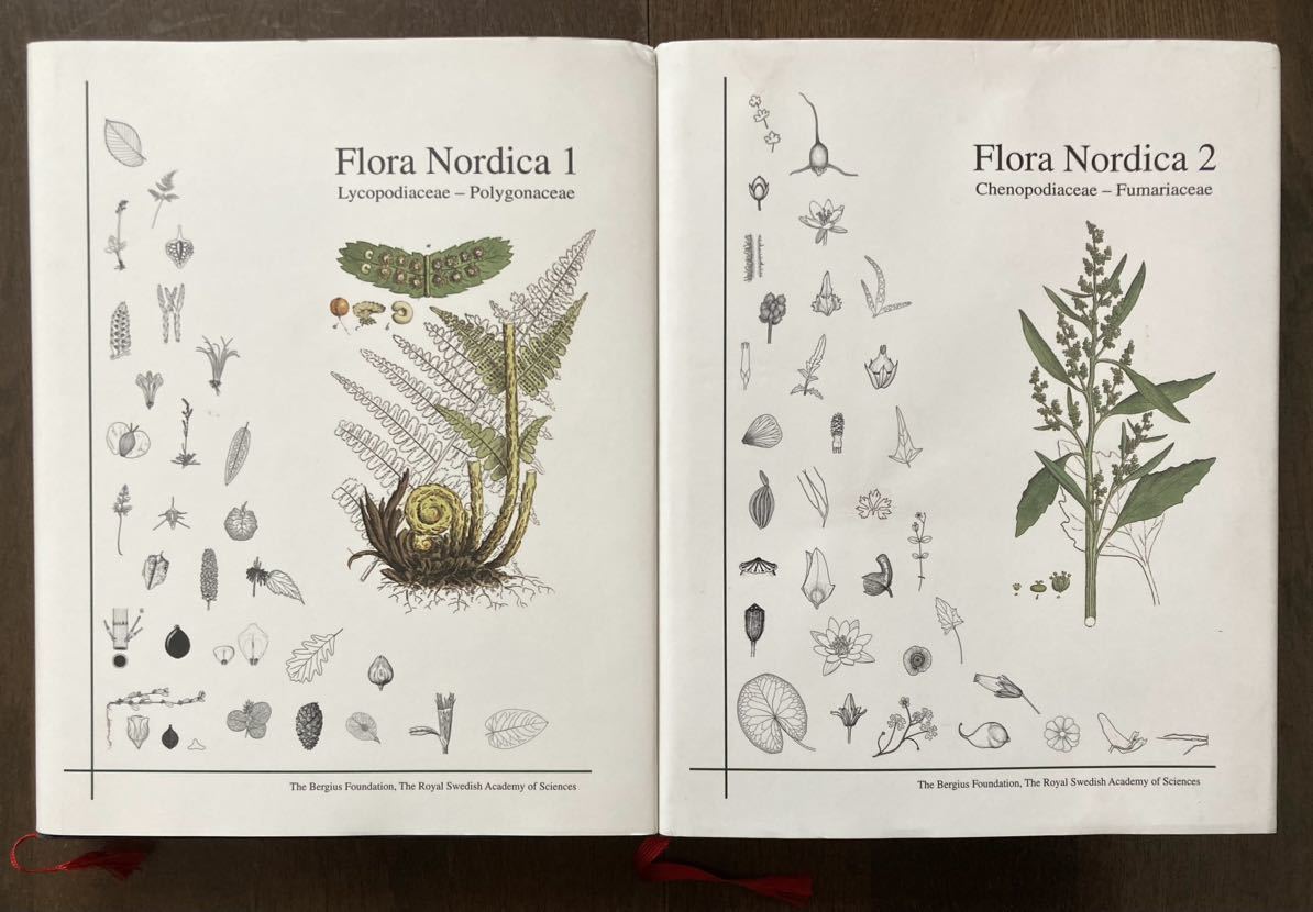【絶版・レア】北欧の植物図鑑 2冊セットFlora Nordica 1 & 2 / ベルギウス財団 スウェーデン王立科学アカデミー ボタニカルアート