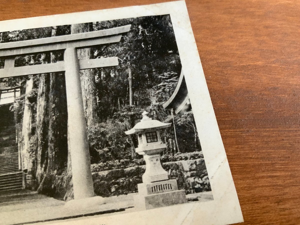 FF-5590 ■送料込■ 神奈川県 箱根神社 大鳥居 神社 寺 宗教 石段 灯篭 鳥居 相州 風景 景色 戦前 絵葉書 写真 古写真/くNAら/くJYら_画像5