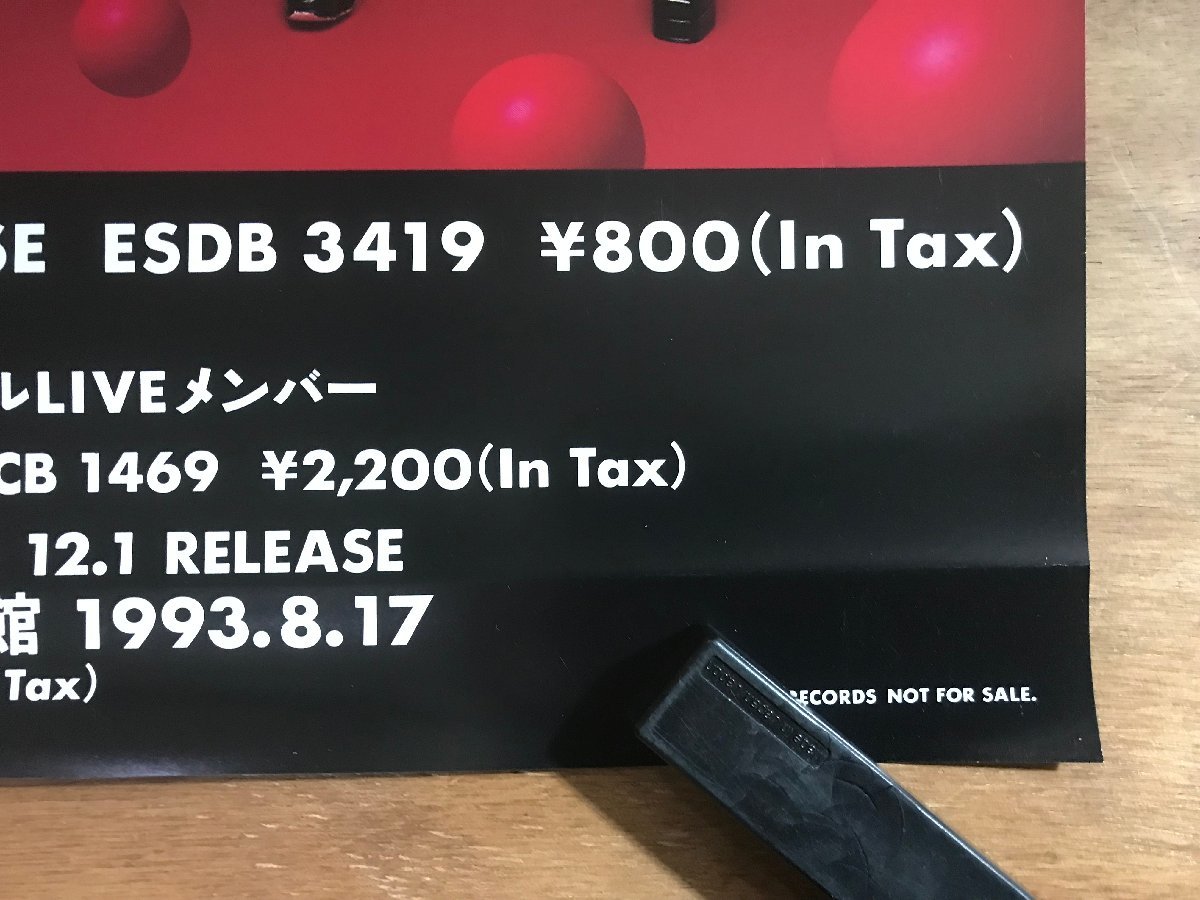 KK-6146 ■送料込■ 東京パフォーマンスドール TPD ガールスグループ アイドルグループ ポスター 印刷物 レトロ アンティーク /くMAらの画像4