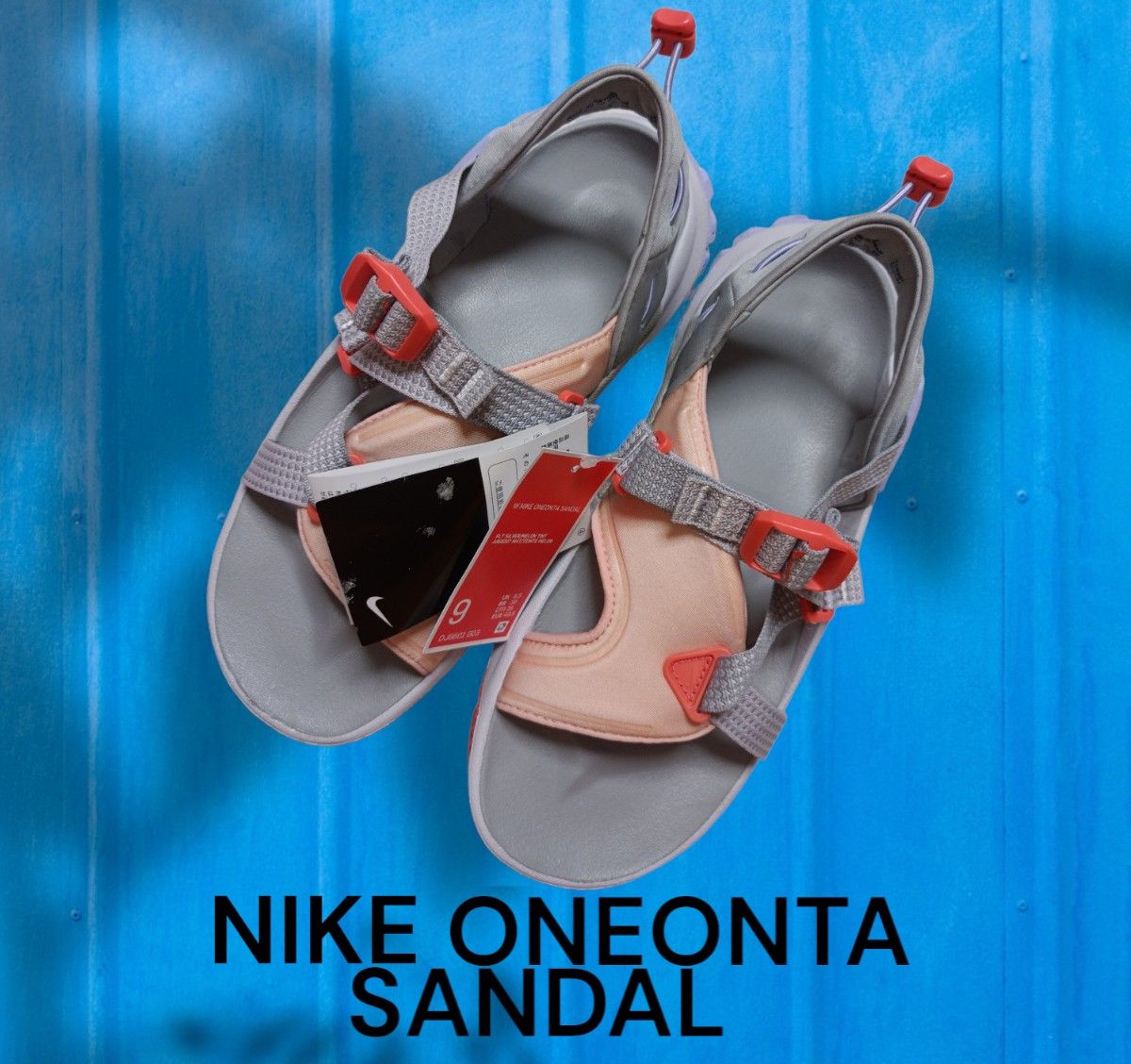 新品タグ付き　箱ありNIKE　WMNS ONEONTA "FLAT SILVER MELON TINT