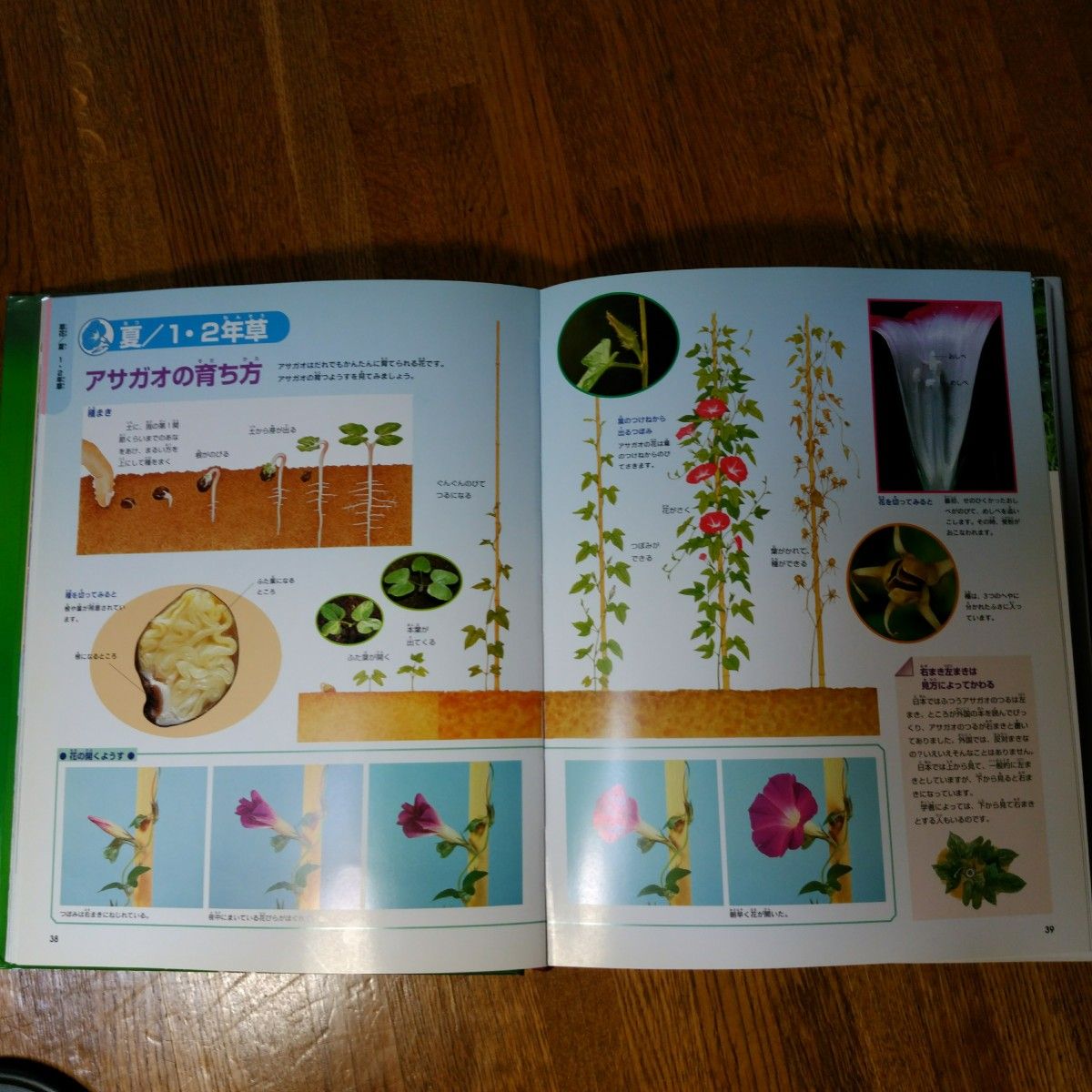 学研の図鑑　花　ニューワイド