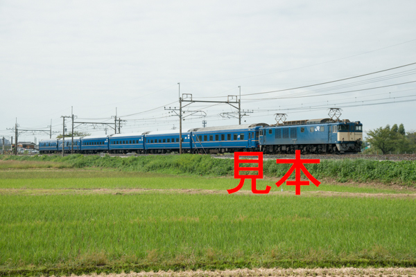鉄道写真データ（JPEG）、00182039、EF64-1053＋24系（乗務員訓練運転）、JR東北本線、東大宮〜蓮田、2013.09.29、（7072×4720）_画像1