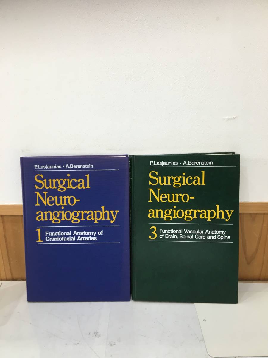 ◆送料無料◆『Surgical Neuro angiography Volume1・3 』 医学書 洋書 19-6の画像2