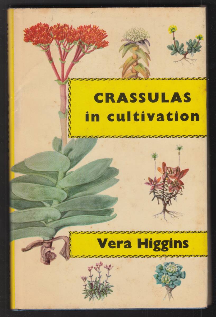 訳あり 本 クラッスラ CRASSULAS 1964 published First London Press