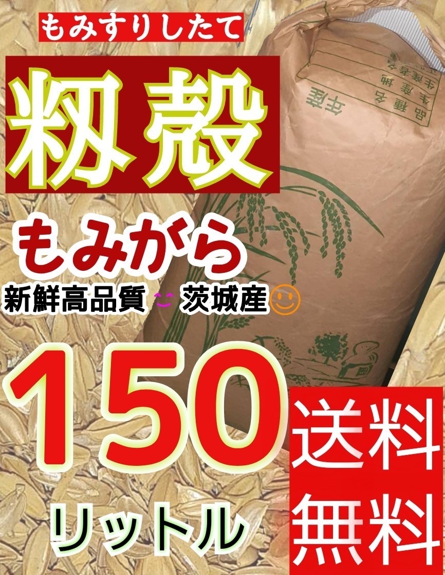 150L 籾殻　もみがら　すりたて新鮮もみ殻　米袋で3袋お届け　培養土　土壌改良　ペットの敷物　鶏　雛　飼育　農業　家庭菜園　送料無料_画像1