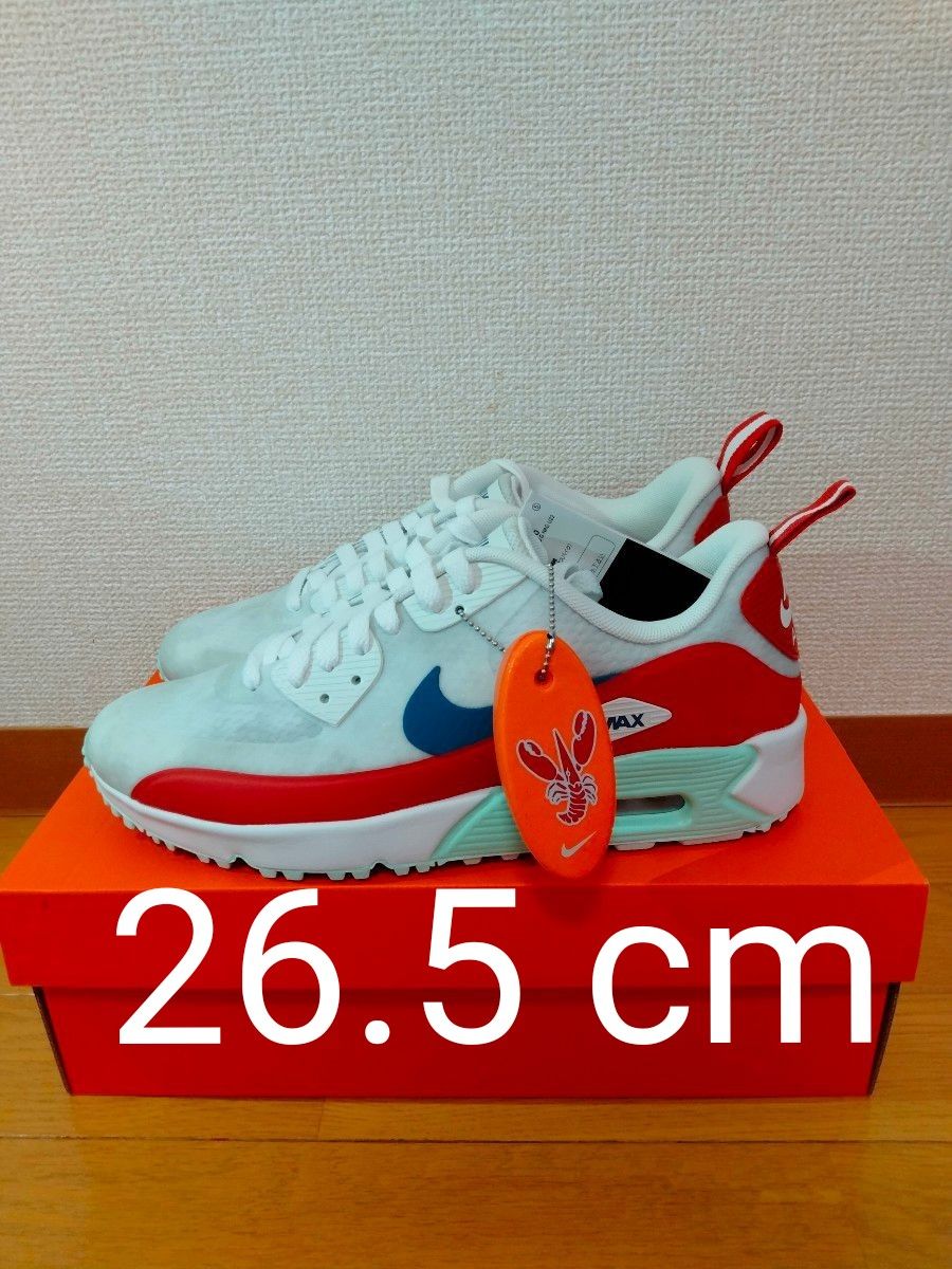 ナイキ NIKE AIR MAX 90G NRG U22 DM9009 146 エアマックス90G