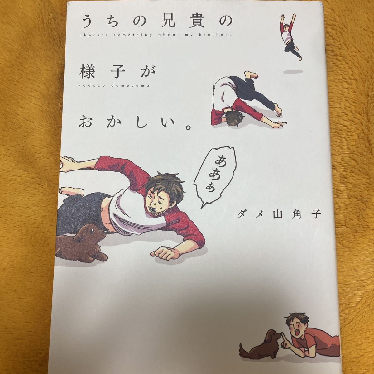 うちの兄貴の様子がおかしい。☆ダメ山角子☆定価１１００円♪_画像1