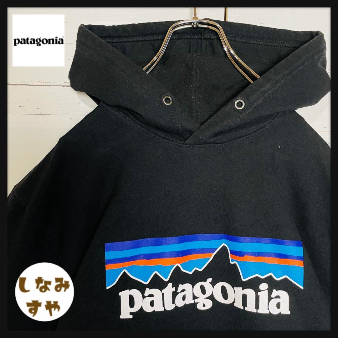 お買得】 【patagonia】パタゴニア パーカープルオーバー M 定番