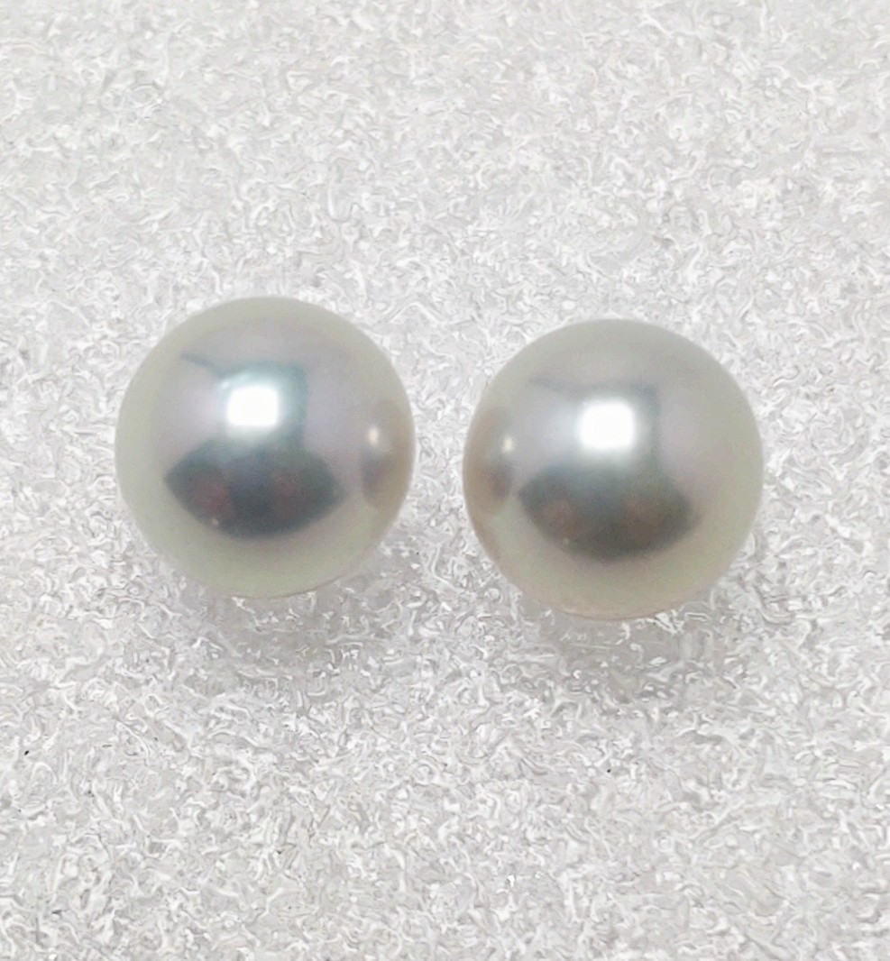 人気商品の ∮真珠専門館∮ (税込み価格) 大特価 K14WG 7.4mm ピアス グレー アコヤ真珠 アコヤ真珠 人気商品の ∮真珠専門館∮ (税込み価格) 大特価 K14WG 7.4mm ピアス グレー アコヤ真珠 アコヤ真珠