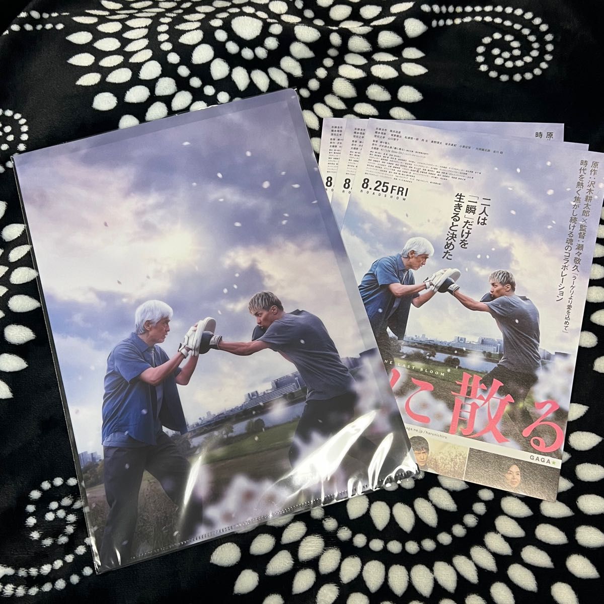 ひ*ろ様 春に散る グッズまとめ売り 横浜流星 ひ*ろ様 春に散る グッズまとめ売り 横浜流星(SHOWROOM