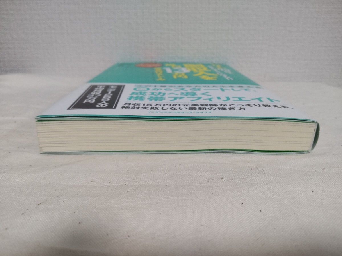 わずか９０日でできるようになる！！副収入を毎月１３万円稼ぎ続けるしくみ （わずか９０日でできるようになる！！） 原田陽平／著