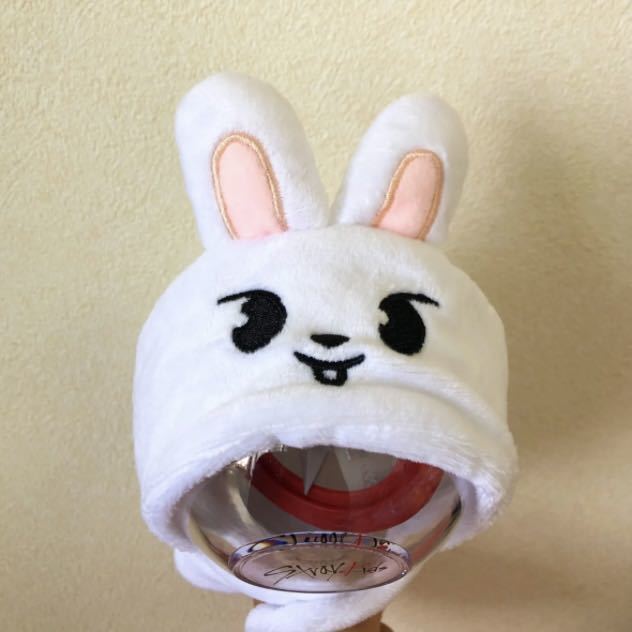 Stray Kids SKZOO アイエン フォクシニー ペンラカバー｜Yahoo