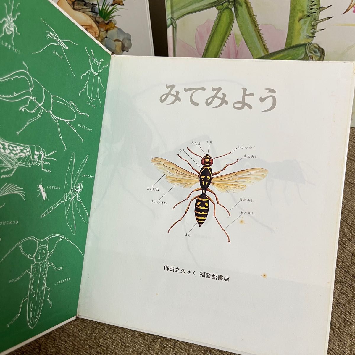 昆虫の絵本　かがくのとも　5冊→2冊　傑作集　福音館書店　貴重