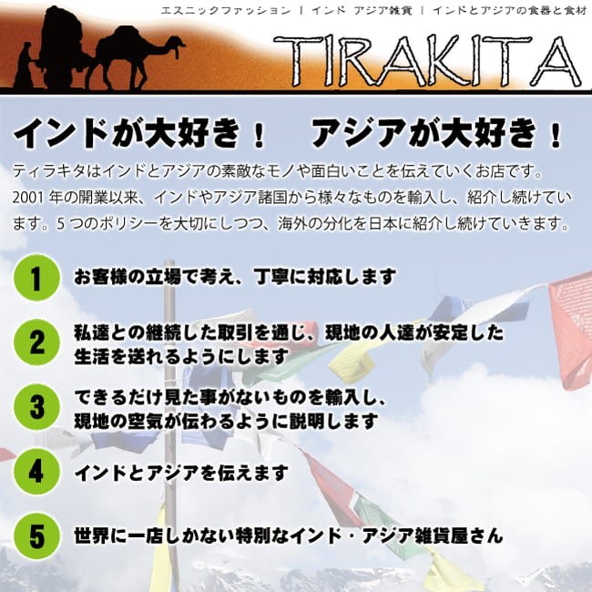 旅行人 バックパッカー 本 ポルトガル(旅行人2011下期号) 雑誌 インド ガイドブック 印刷物 ステッカー_画像5