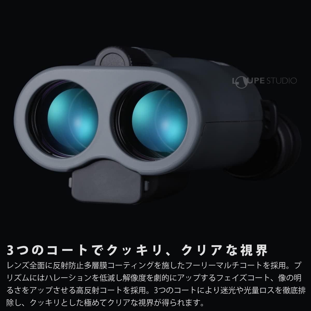 ビクセン(Vixen) 防振双眼鏡 ATERA II H12x30 アテラ2 チャコール