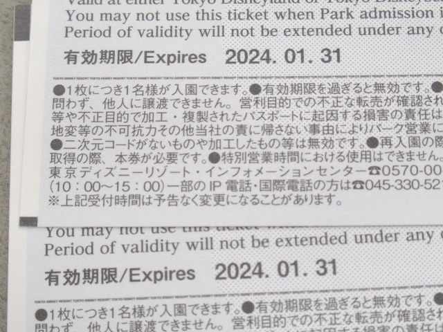 ◇東京ディズニーリゾート 株主用パスポート ペアチケット 2枚 TDL TDS