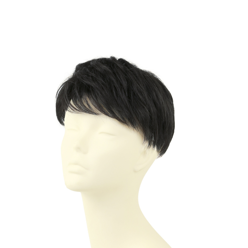 ☆ TBK/耐熱ブラック ☆ プリシラ 男性用5分ウィッグ レイヤーショート GB-22 PRISILA プリシラ メンズ 部分ウィッグ 部分ウイッグ