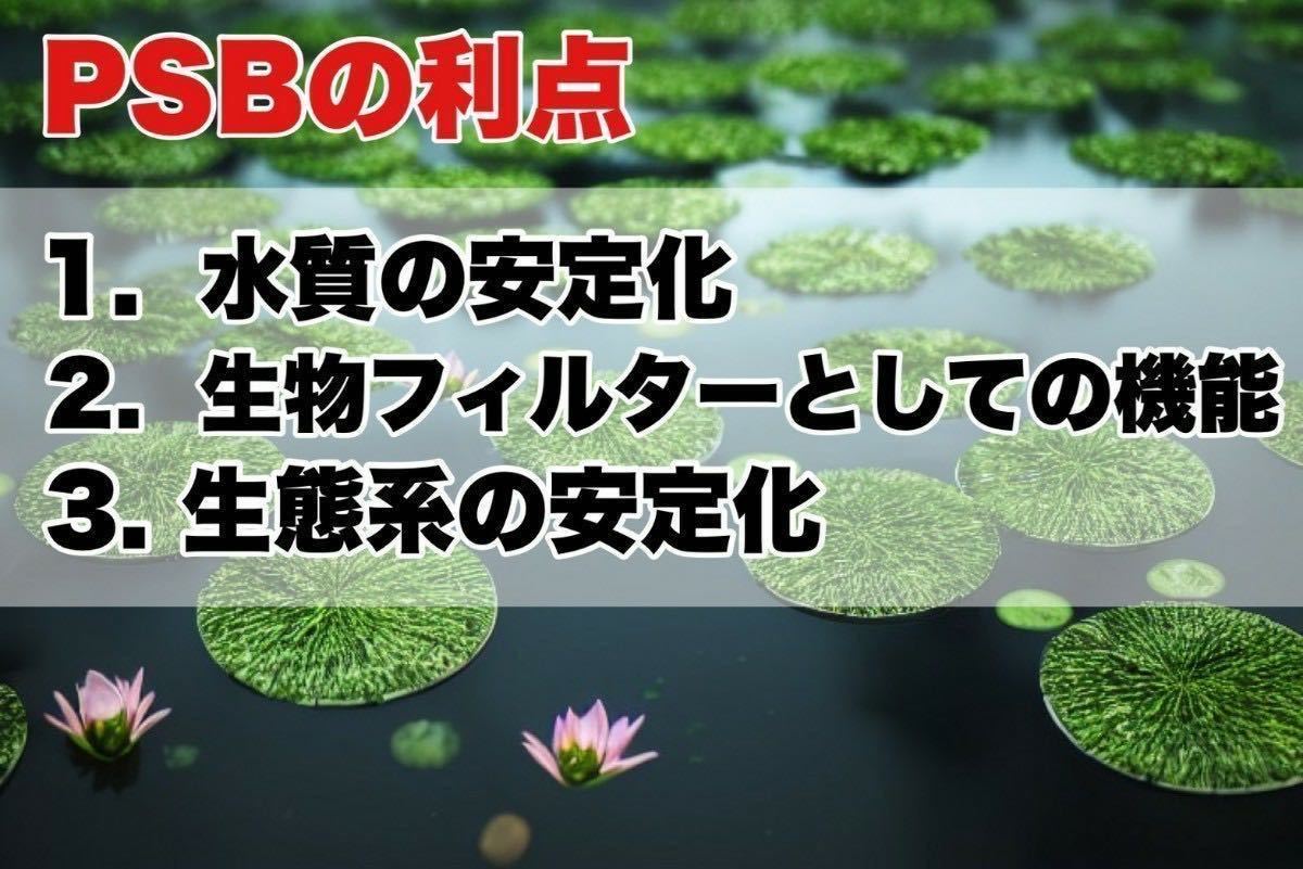 【貴凌めだか】ふやしてPSB 詰め替え用300ml 2本セット 水質浄化 光合成細菌 バクテリア めだか クロレラ培養の画像2