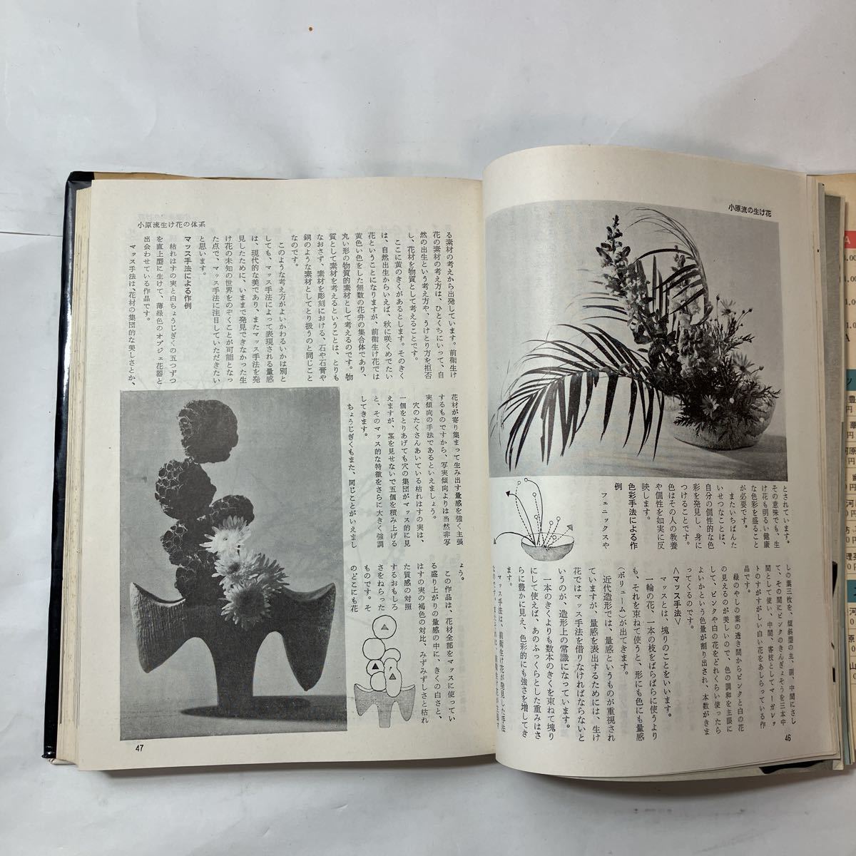 zaa-492♪独習シリーズ　小原流生花　 小原豊雲 (著) 　主婦の友社 (1964/06/08)_画像5