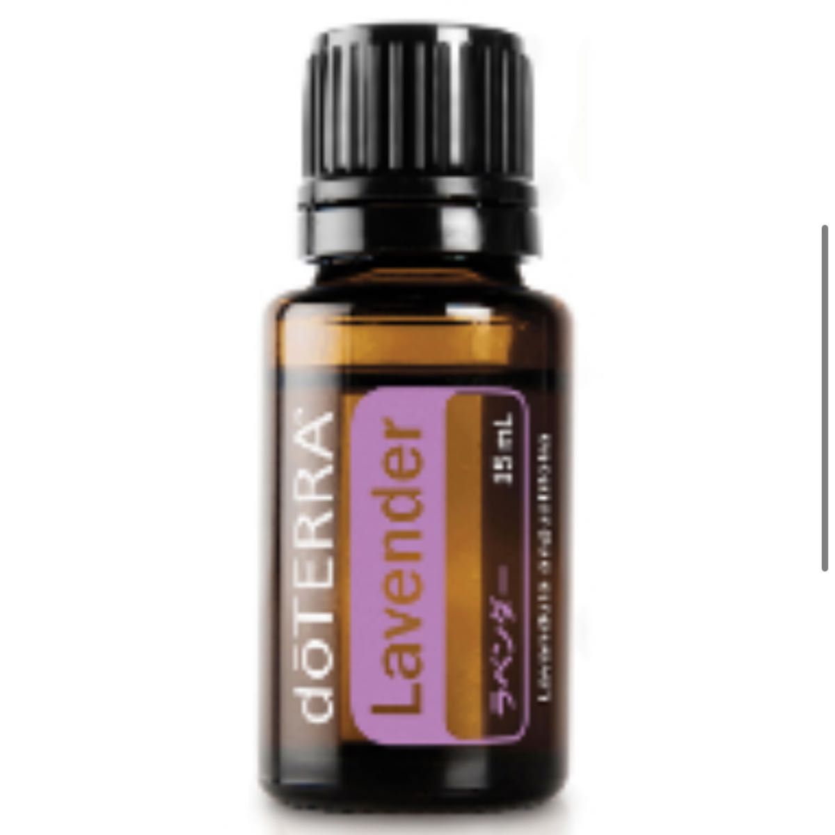 doTERRA ドテラ アロマエッセンシャルオイルラベンダー　15ml 新品未開封