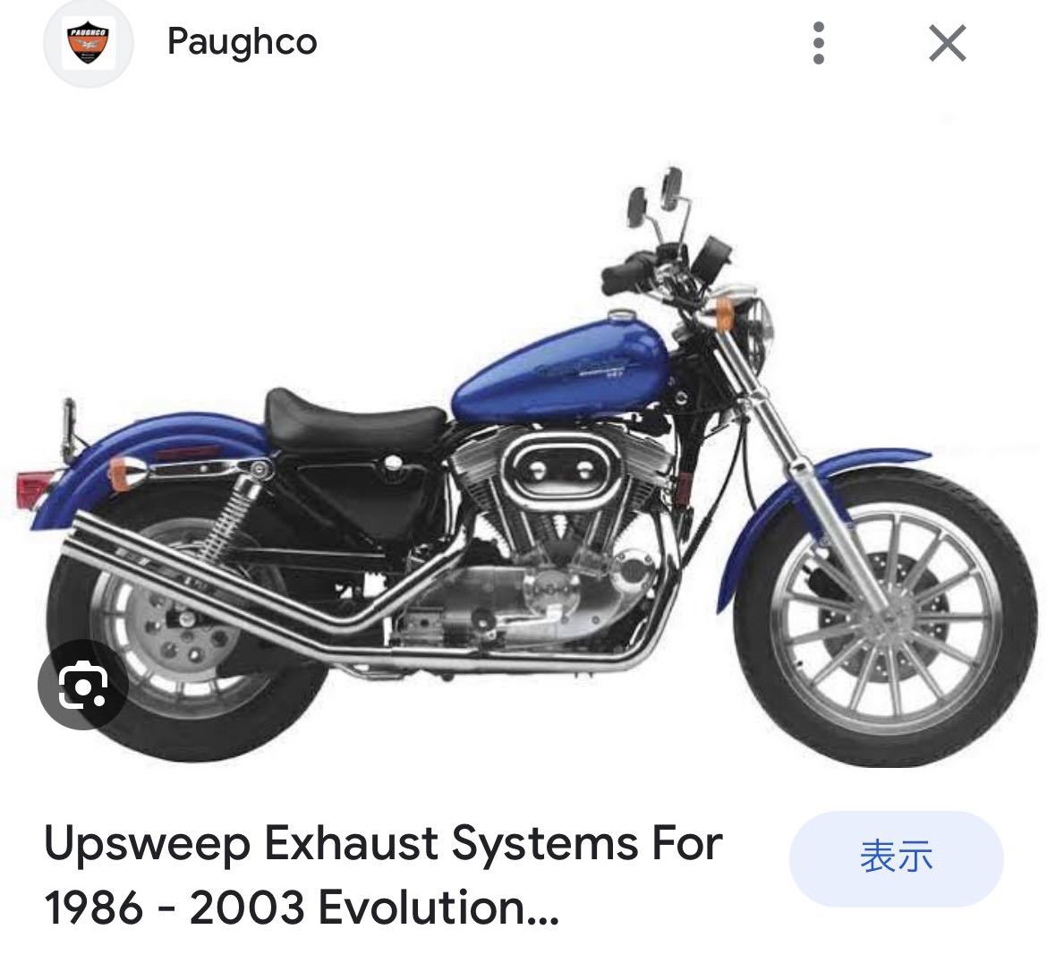 スポーツスター アップスイープ パウコ PAUGHCO 希少 長瀬 ナイス