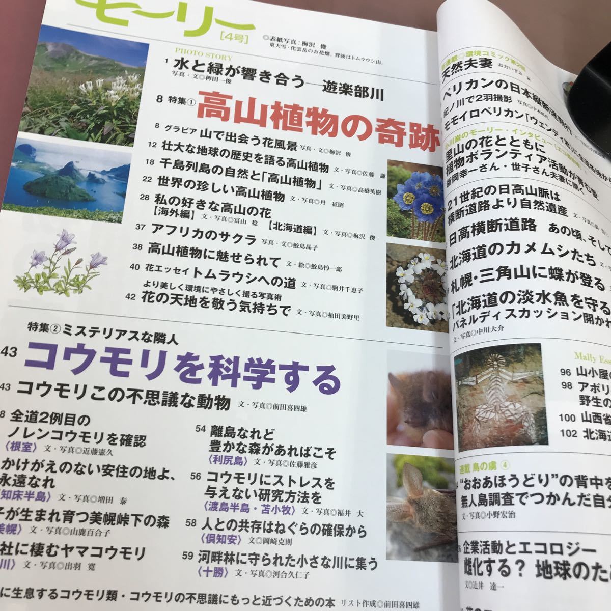 A59-030 モーリー 2001.1 特集 高山植物の奇跡 北海道新聞野生生物基金 _画像3