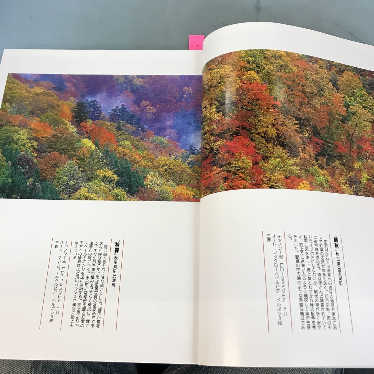 A58-074 隔月刊 風景写真9月号1994 中橋冨士夫「みちのく紅葉紀行」 叶内拓哉 「秋景色の野鳥たち」 ブティック社_画像6