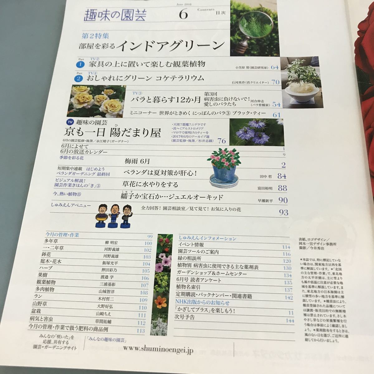 A58-109 NHK хобби. садоводство 2018 6 роскошный ., возможно .. гортензия /koke террариум NHK выпускать 