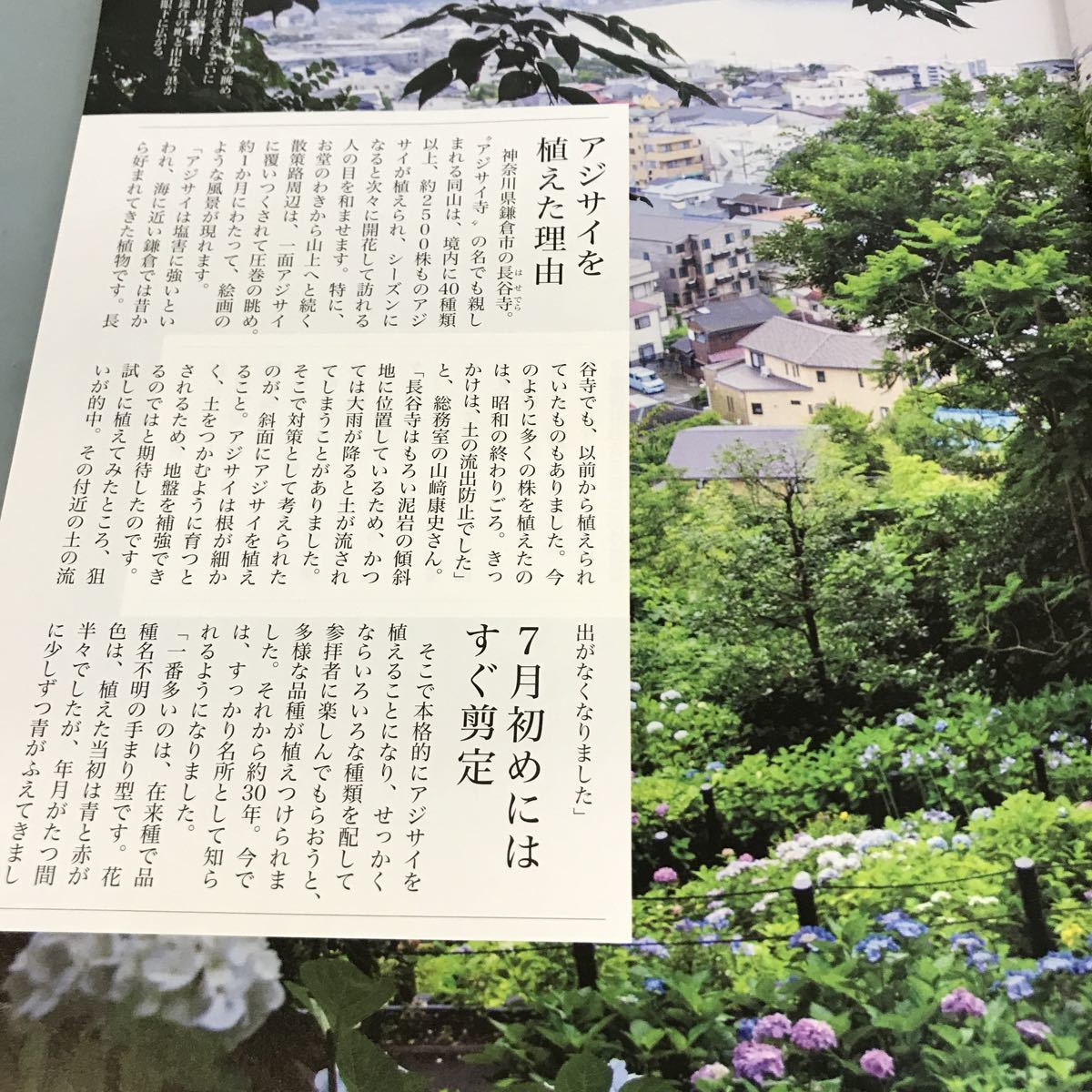 A58-109 NHK хобби. садоводство 2018 6 роскошный ., возможно .. гортензия /koke террариум NHK выпускать 