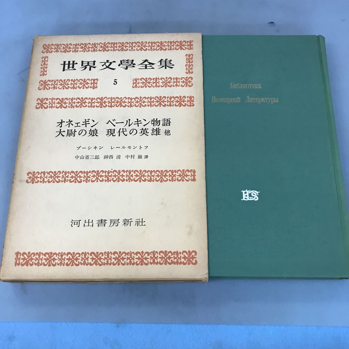 A64-137 プーシキン オネェギン他 レールモントフ 現代の英雄 世界文学全集5 河出書房新社_画像1