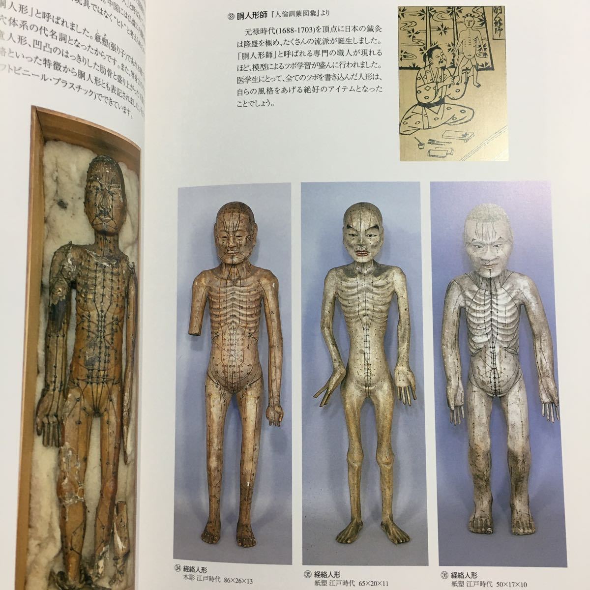 鍼のひびき灸のぬくもり 図録 鍼灸 ツボ 日本鍼灸 経絡人形 禁穴 鍼のひびき灸のぬくもり 図録 鍼灸 ツボ 日本鍼灸 経絡人形 禁穴