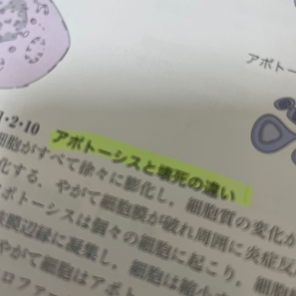 わかりやすい病理学 （改訂第６版） 岩田隆子／監修　恒吉正澄／編集　小田義直／編集