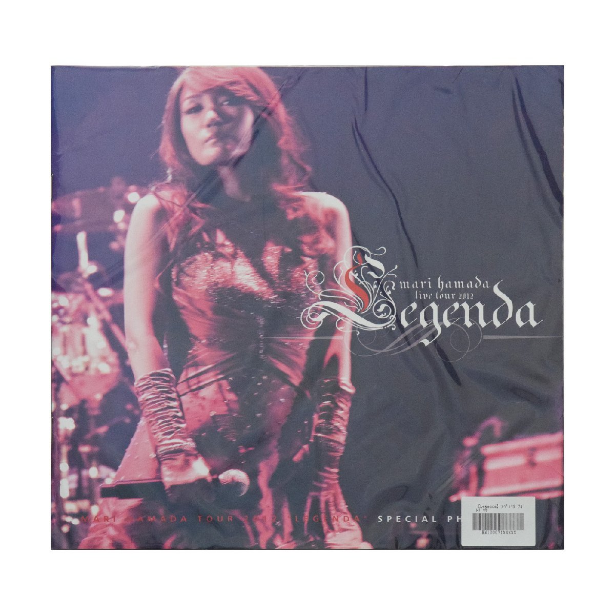 浜田麻里 スペシャルフォトブック 写真集 Mari Hamada Live Tour 2012 Legenda 追加公演_メイン画像