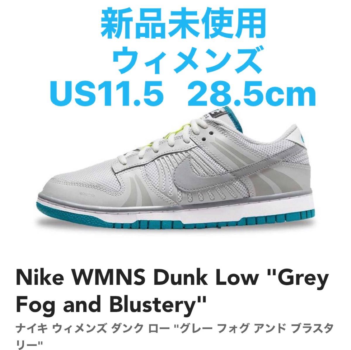 Nike WMNS Dunk Low Grey Fog and Blustery 29cm FJ5473-099-